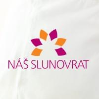 Logo Institut zdravotně-sociálních služeb, z.ú.