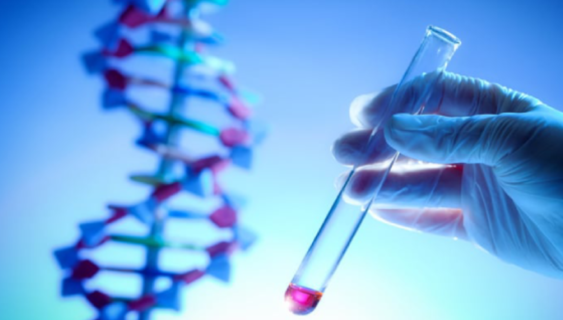 Genetika v praxi: Rozhovor s Ing. Lenkou Sládkovou o tom, jak díky DNA zlepšit zdraví