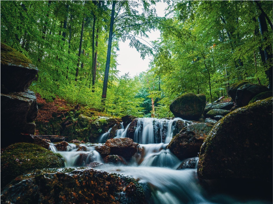 Máj v Jizerských horách: Vychutnejte si klid bučin UNESCO, sklářskou tradici a nostalgii na kolejích
