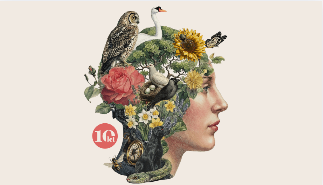 Národní ústav duševního zdraví pořádá 10. ročník Festivalu Na hlavu