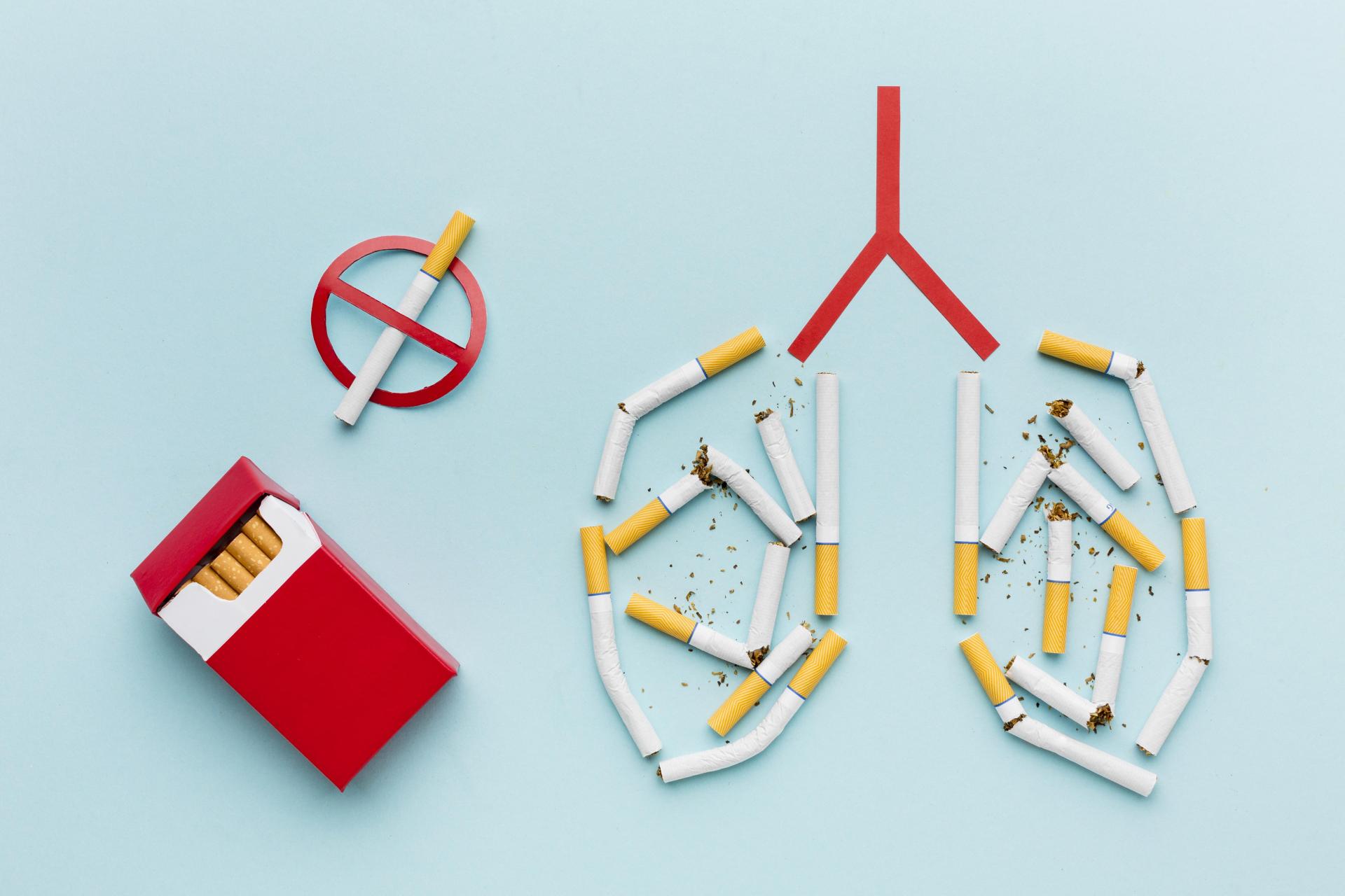 Kouření, cigarety, plíce