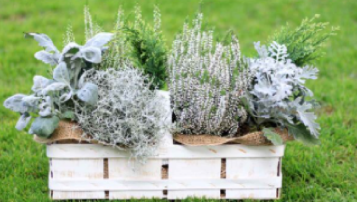 Tipů na podzimní dekorace není nikdy dost