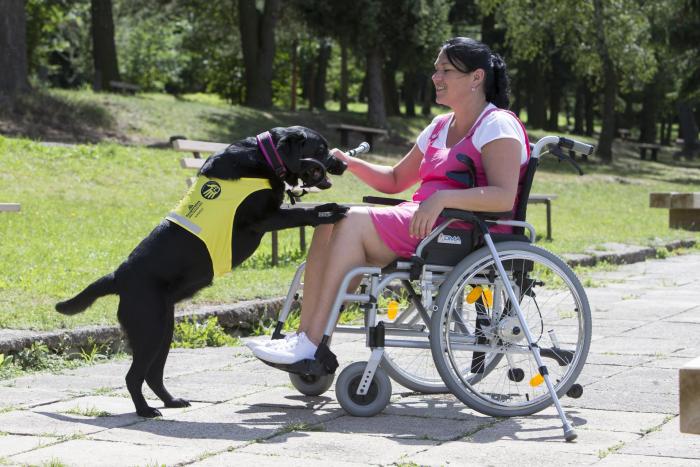 Pomocné tlapky mění životy lidí s hendikepem