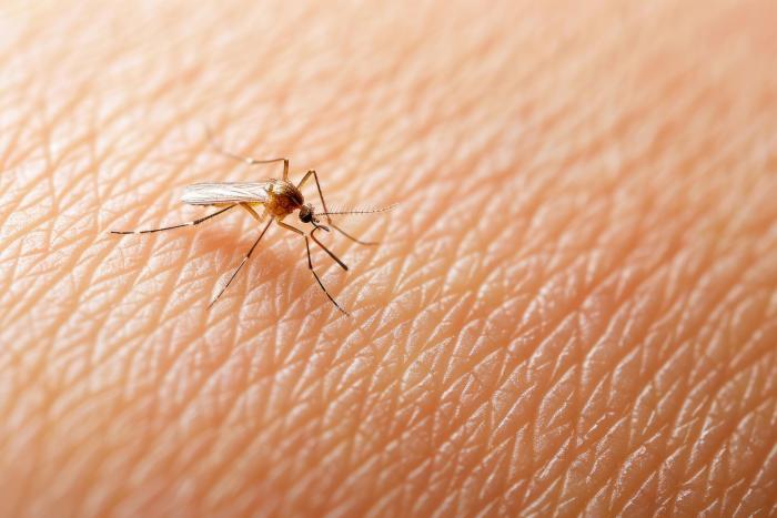 Používání repelentů ochrání před západonilskou horečkou, horečkou dengue a chikungunya